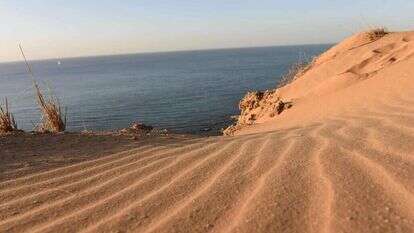 מצוק געש. | יהושע כרמל