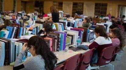 הדס פרוש, פלאש 90