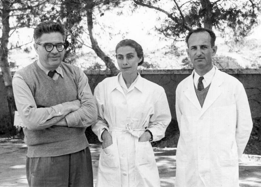 פרופ' היינץ שטייניץ. | באדיבות המצולם