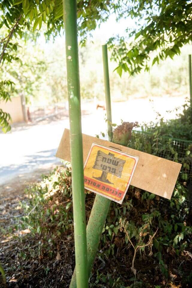הגדר יקרה, השלטים לא עוזרים. שטח פרטי בכפר־פינס. | אביטל הירש הגדר יקרה, השלטים לא עוזרים. שטח פרטי בכפר־פינס. | אביטל הירש