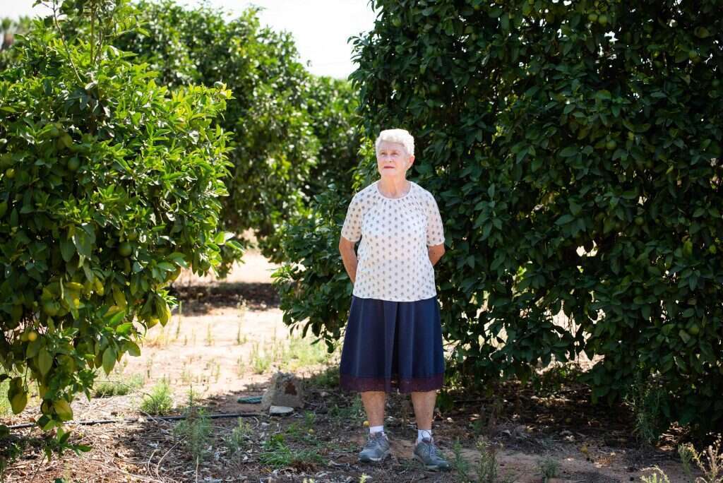 "אי אפשר להחזיר פרי לעץ. הנזק כבר נעשה". רותי אופנהיימר. | אביטל הירש "אי אפשר להחזיר פרי לעץ. הנזק כבר נעשה". רותי אופנהיימר. | אביטל הירש