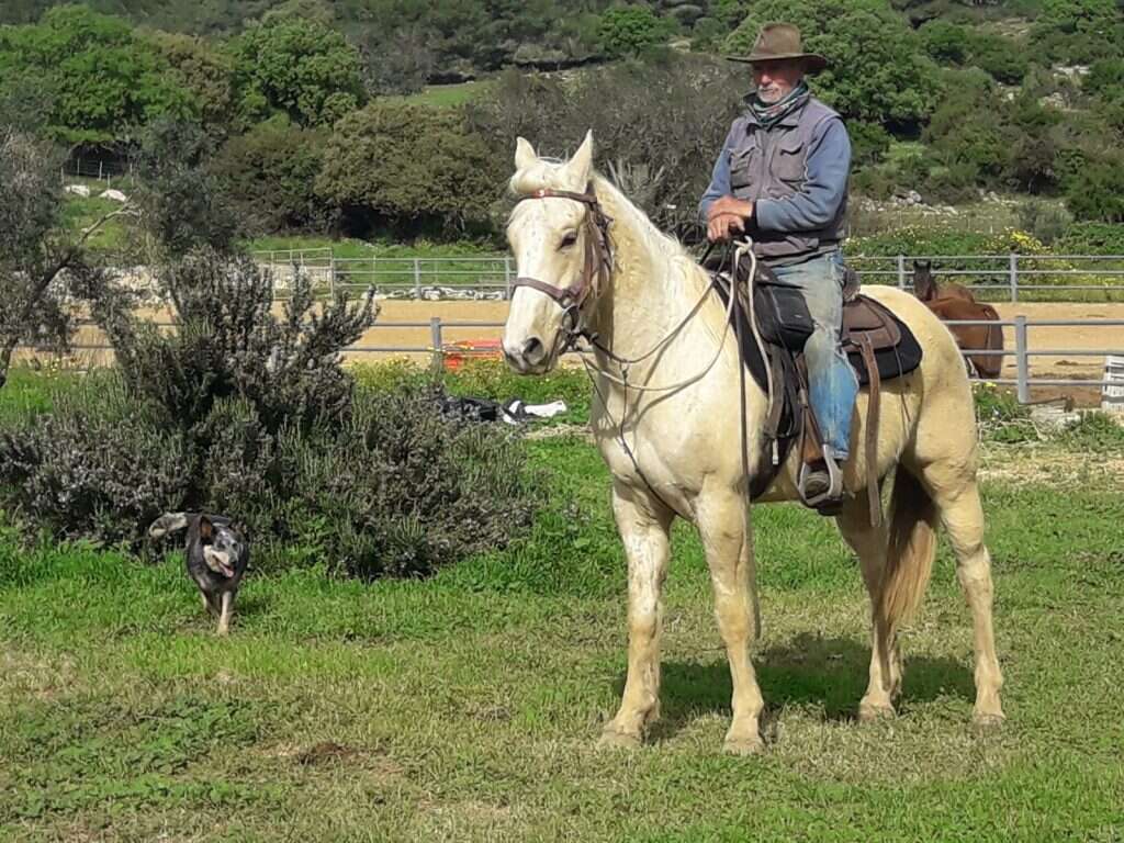 אלי בראון. | באדיבות המצולם אלי בראון. | באדיבות המצולם