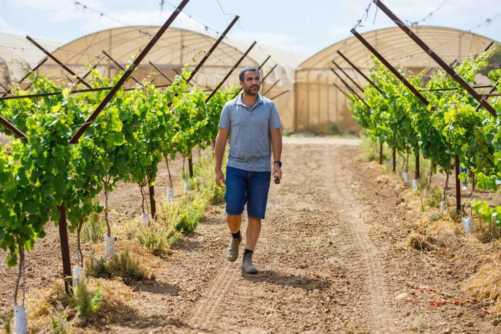 "ההפסד המצטבר עלול להפוך את העבודה כולה לבלתי
משתלמת". תומר שבתאי. | לירון מולדובן "ההפסד המצטבר עלול להפוך את העבודה כולה לבלתי
משתלמת". תומר שבתאי. | לירון מולדובן