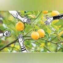 ואיור: שאטרסטוק