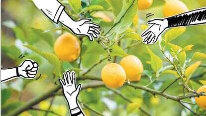 ואיור: שאטרסטוק ואיור: שאטרסטוק