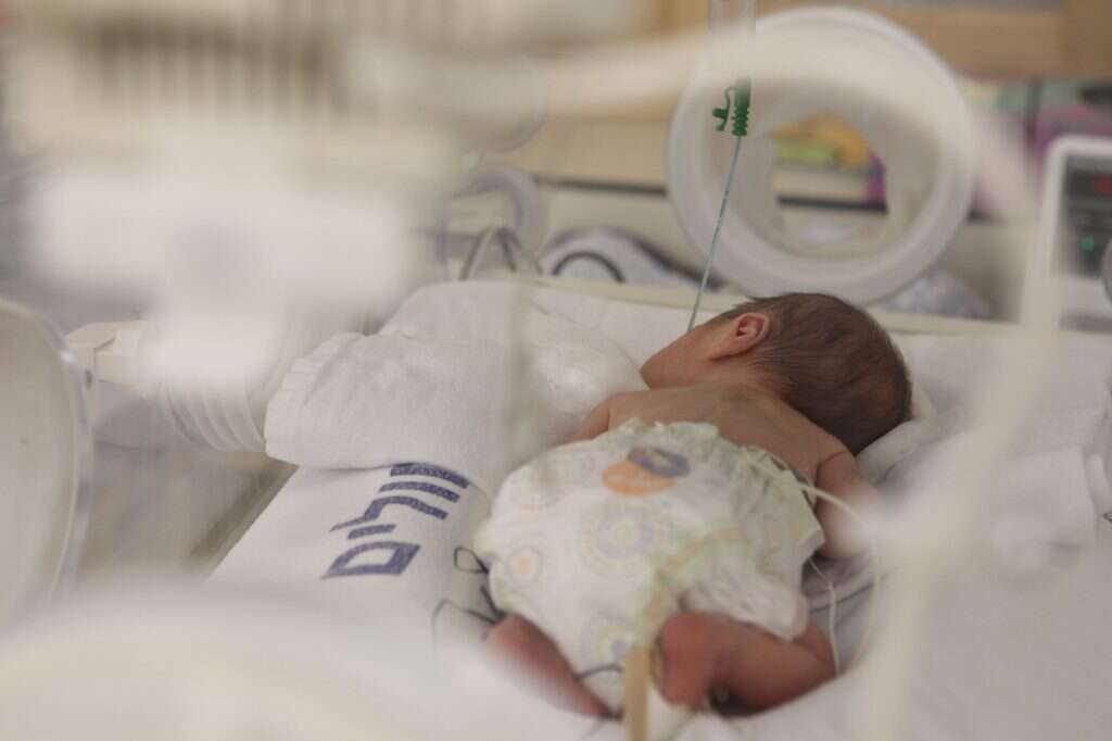 פג באינקובטור. | יעקב נחומי - פלאש 90