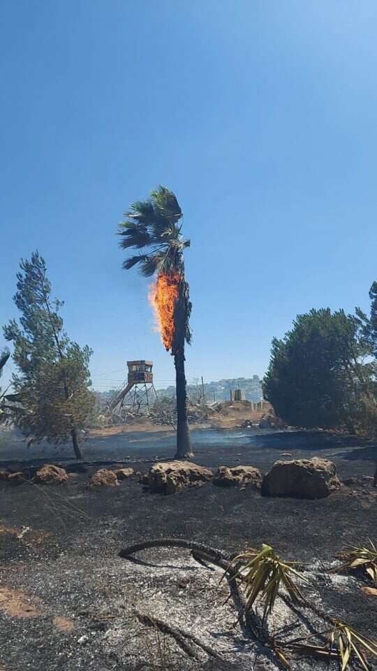 השריפות בבנימין והשומרון. | דוברות כיבוי והצלה