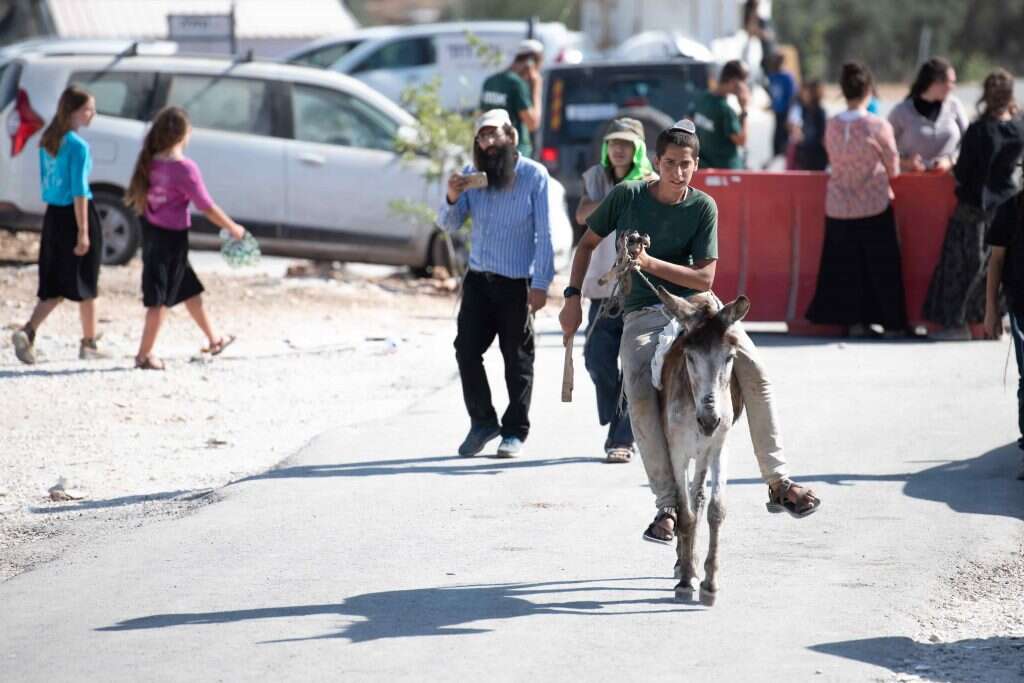 אביתר, בשבוע שעבר. | שריה דיאמנט