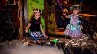 יער ההרפתקאות. | רותם אברהם