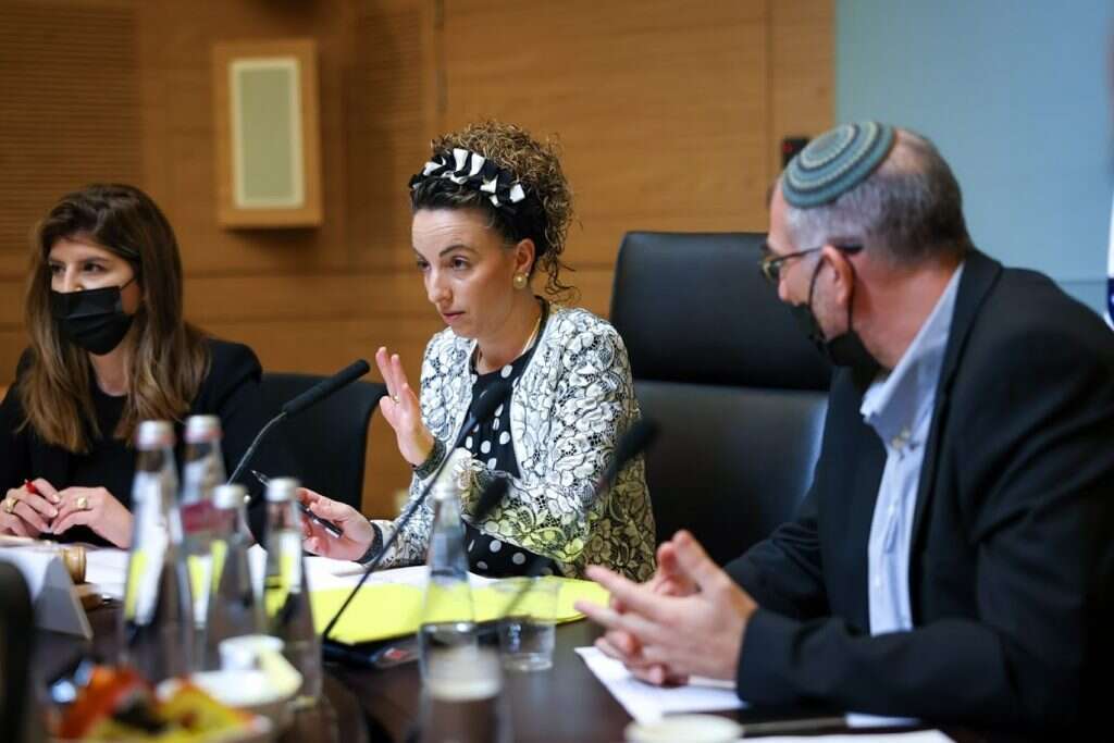 דיון של ועדת הכנסת. | נועם מובשביץ, דוברות הכנסת