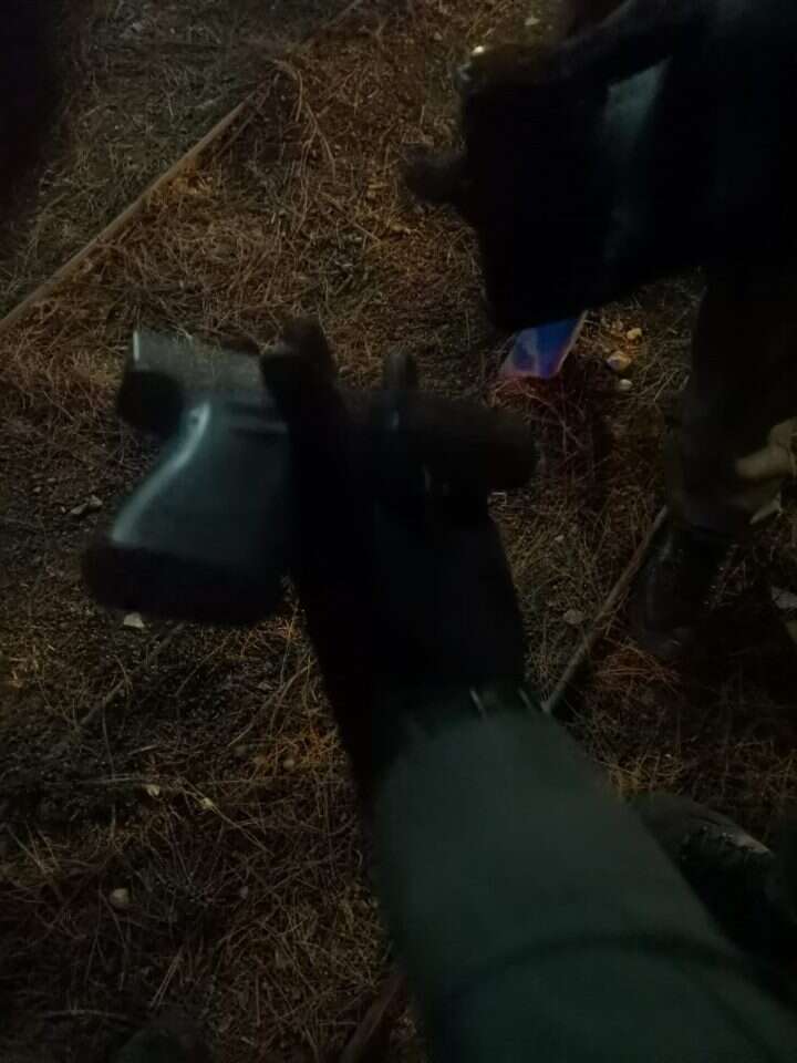 אקדח הגלוק באמצעותו בוצע הירי. | דוברות המשטרה