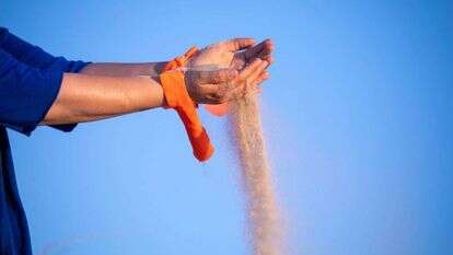 "המכונית שלנו מלאה עכשיו בסרטים כתומים". | אביטל הירש