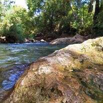 נחל שניר. | אסנת כרמל