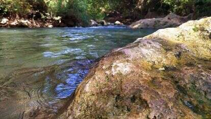 נחל שניר. | אסנת כרמל