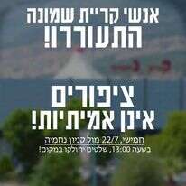 עמוד הפייסבוק של Birds Aren't Real