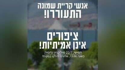 עמוד הפייסבוק של Birds Aren't Real