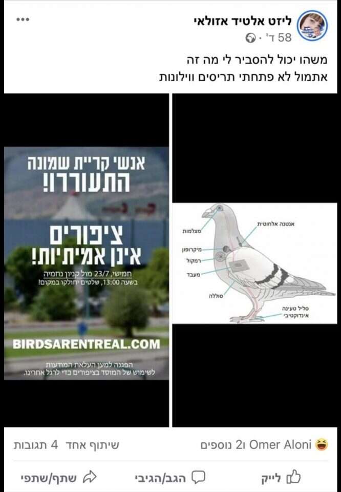עמוד הפייסבוק של Birds Aren't Real