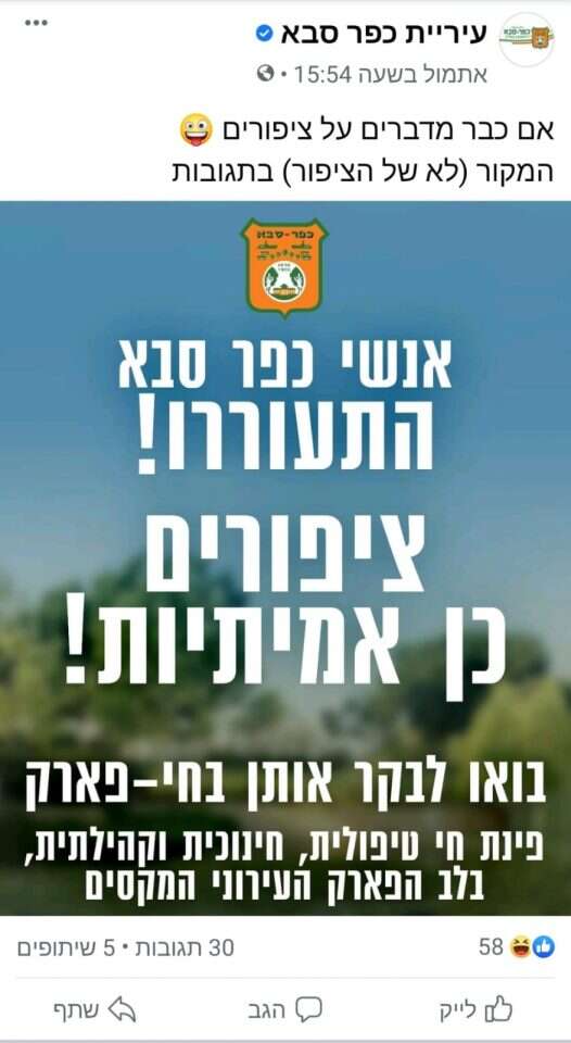 מסך: עמוד הפייסבוק של Birds Aren't Real