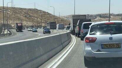 ציר אדם חיזמה. | שקד סגל