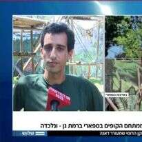 בהלה בספארי. | מסך: חדשות 12