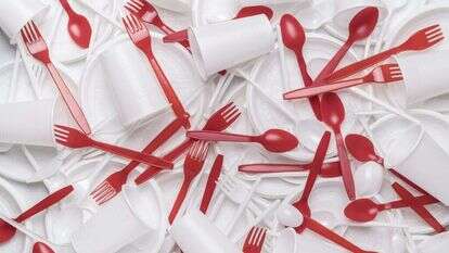 כלי פלסטיק חד פעמיים. | שאטרסטוק