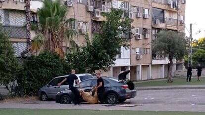 ההכנות לחג הקורבן בלוד ההכנות לחג הקורבן בלוד