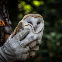 חיות ויצורים שפועלים על פי צו פנימי עמוק. | EPA