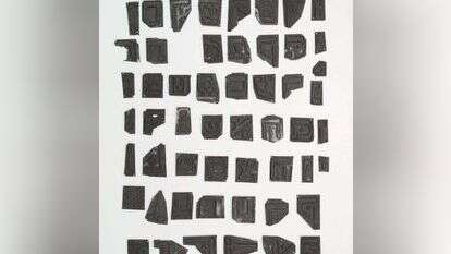 סטילס מתוך וידאו, הדסה גולדויכט. מארכיון זלמן שוקן.