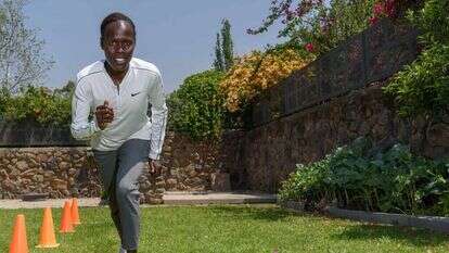 לונה צ'מטאי–סלפטר. | אייל מרגולין - ג'יני