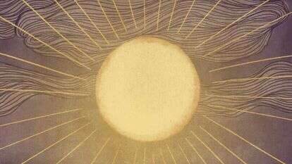 איור: שרון ארדיטי