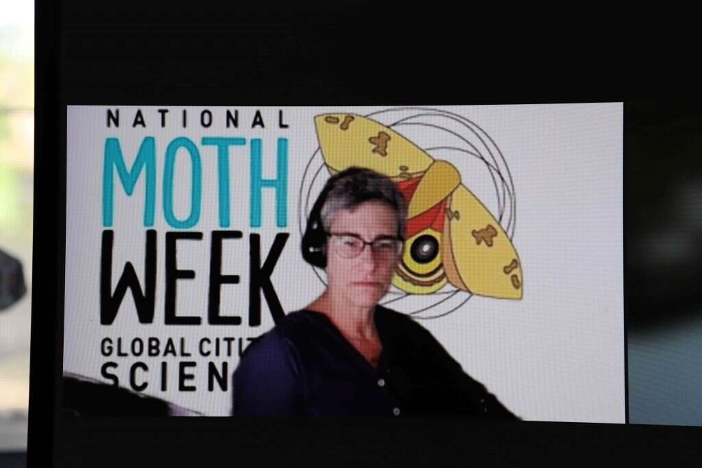 מצפה ליותר שיתוף פעולה ישראלי. הרמתי | עוז ריטנר, מוזיאון הטבע ע"ש שטיינהרדט, אונ' תל אביב