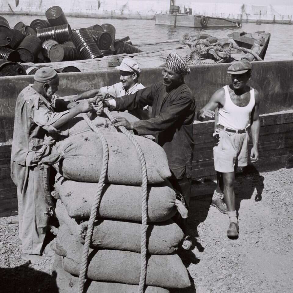 סוחרים יהודים וערבים בנמל יפו, 1949 | זולטן קלוגר, לע"מ סוחרים יהודים וערבים בנמל יפו, 1949 | זולטן קלוגר, לע"מ