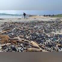 זיהום זפת בחוף תל דור, פברואר 2021. | יוסף אוזן, רשות הטבע והגנים