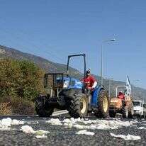 ביצים על הכביש במחאת החקלאים בגליל העליון, | אייל מרגולין, ג'יני