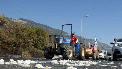 ביצים על הכביש במחאת החקלאים בגליל העליון, | אייל מרגולין, ג'יני