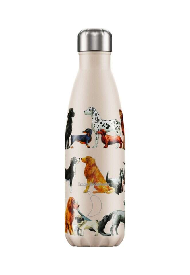 צ'יליס לסטורי מחיר 190 שח | יחצ חול