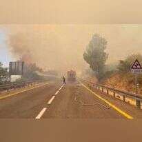 שריפה ליד שורש בהרי ירושלים. | מסך