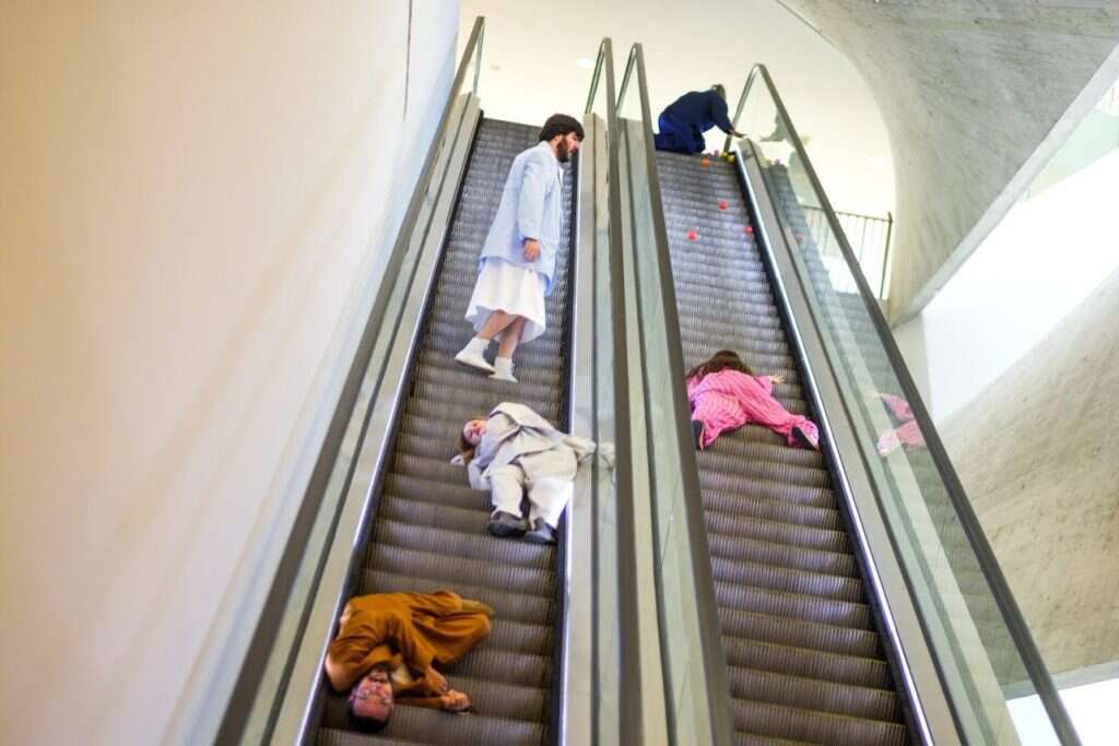 באתי, ראיתי. | דוד קפלן