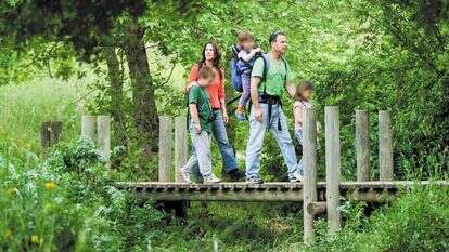 משה שי - פלאש 90