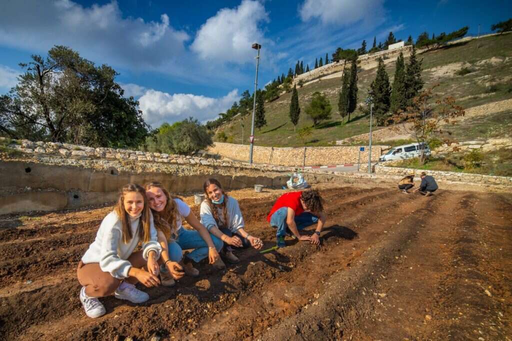 פסטיבל בחווה. | קובי הראתי