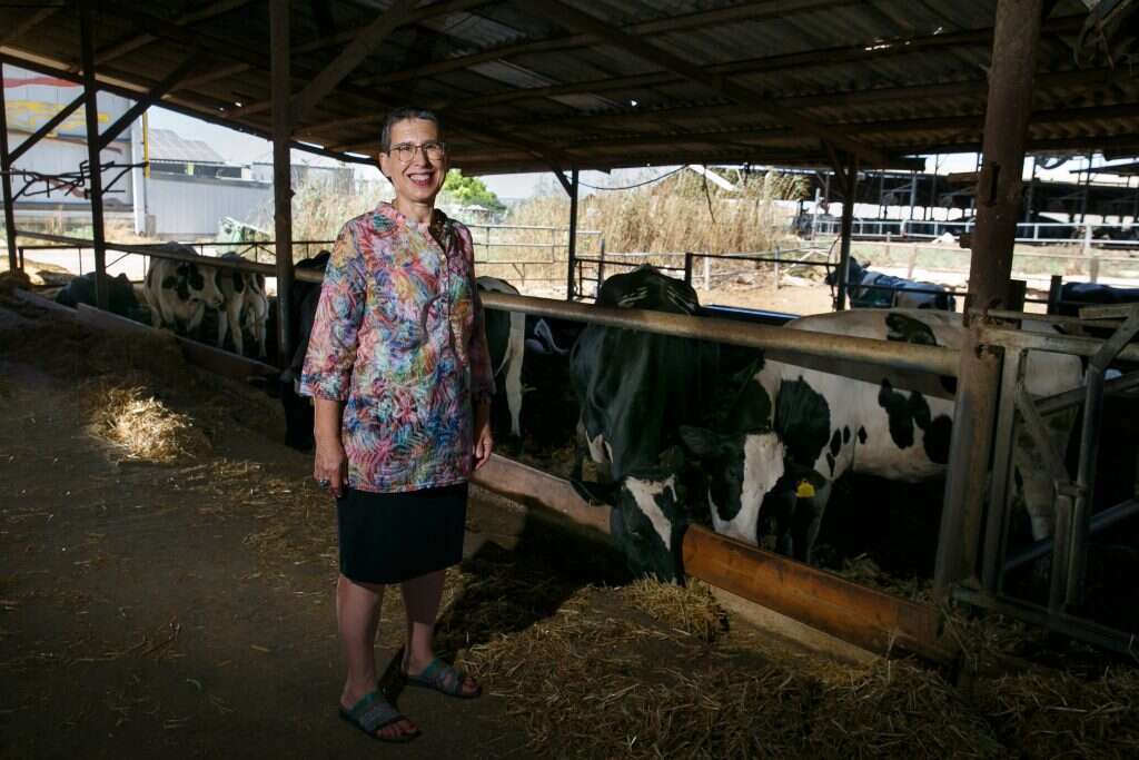 "לא לכל אחד זה מתאים". ברפת. | לירון מולדובן "לא לכל אחד זה מתאים". ברפת. | לירון מולדובן