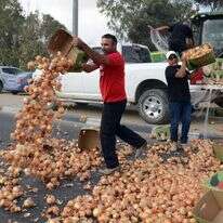 מחאת החקלאים, בשבוע שעבר | דודו גרינשפן
