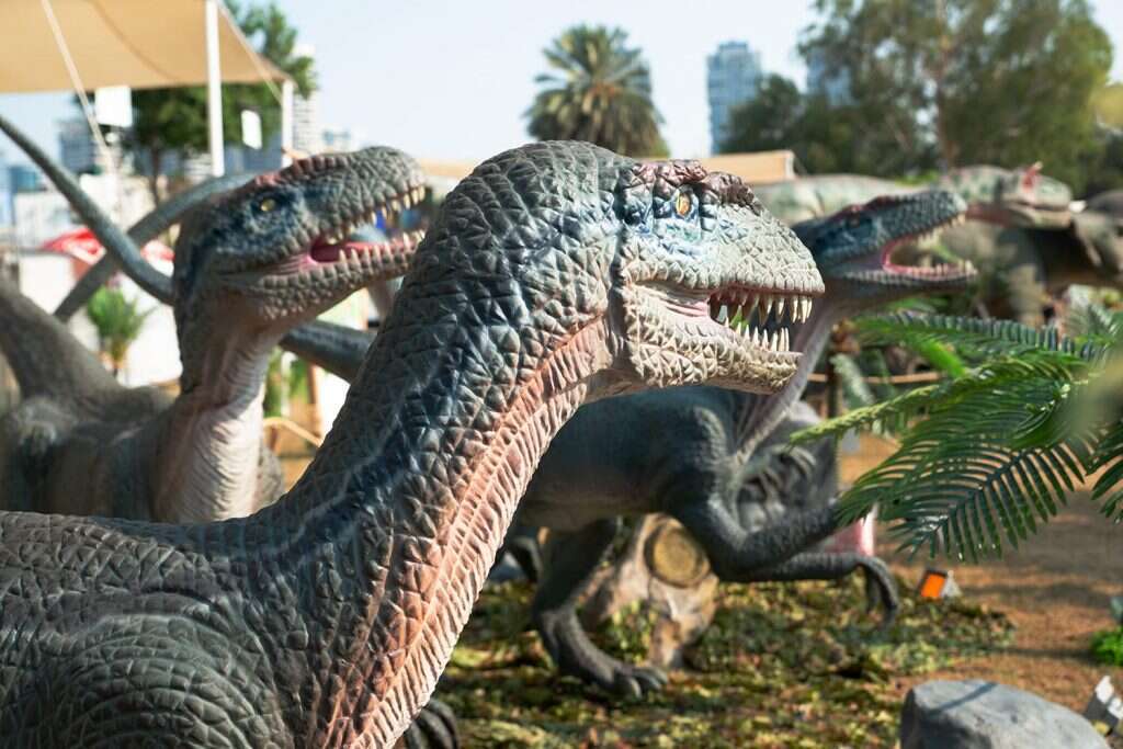 פארק דינוזאורים חווייתי. באדיבות EGOeast הפקות