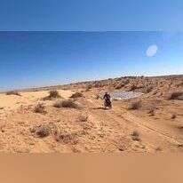 תנועת רגבים