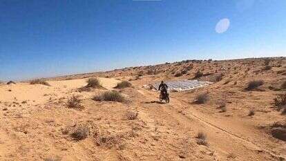 תנועת רגבים