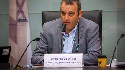 ח"כ גלעד קריב בוועדת החוקה. | דוברות הכנסת, נועם מושקוביץ