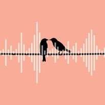 איור: שאטרסטוק