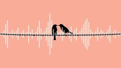 איור: שאטרסטוק