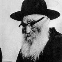 הרב אריה לוין