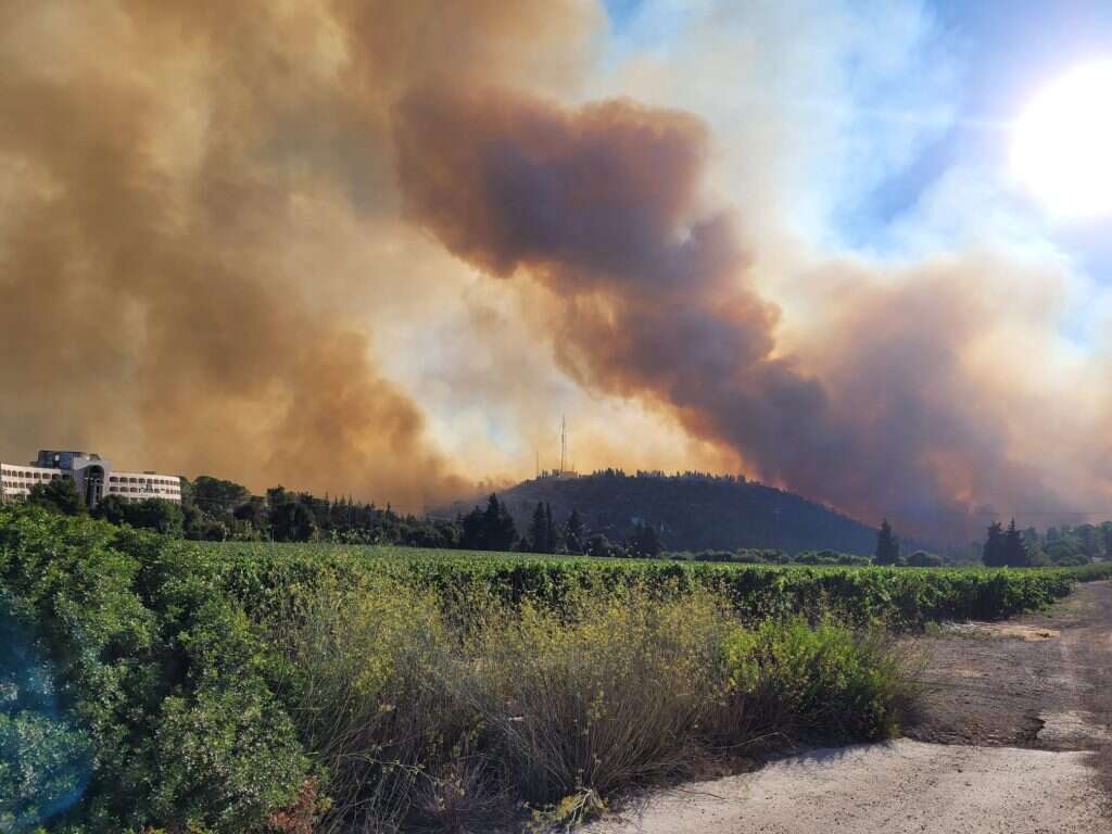 תיעוד השריפה והעשן המיתמר בהרי ירושלים. | בוריס קריפק רשות הטבע והגנים